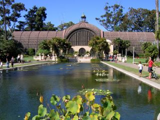A Group Of People Standing Next To A Body Of Water With Balboa Park In The Background